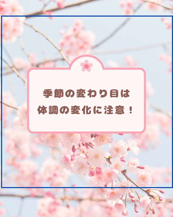 画像1010