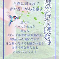画像1201