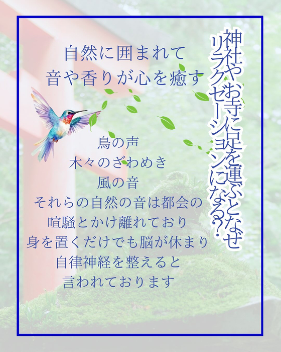 画像1201