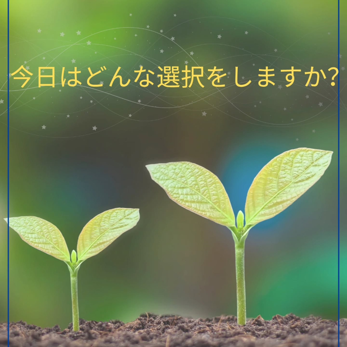 画像1228