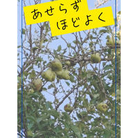 画像1269