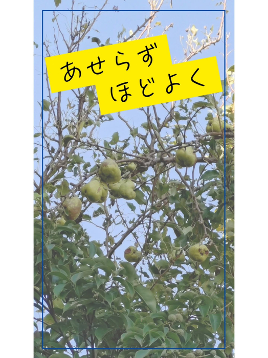 画像1269
