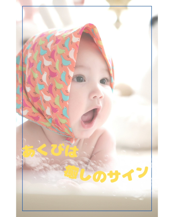 画像1291