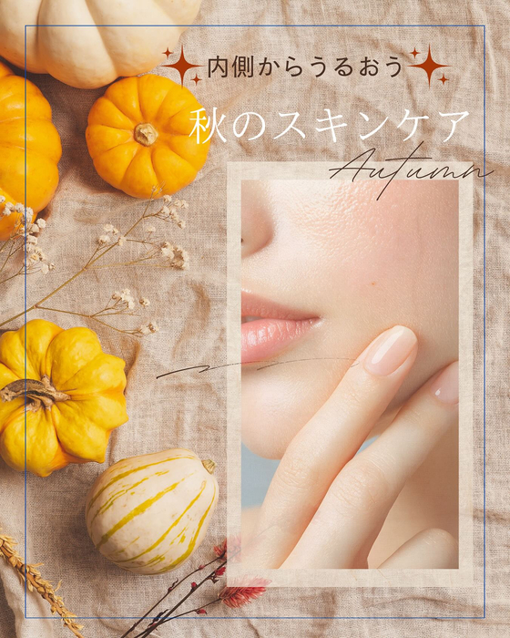 画像1348