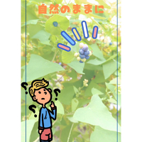 画像1350