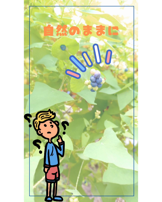 画像1350