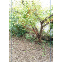 画像1351