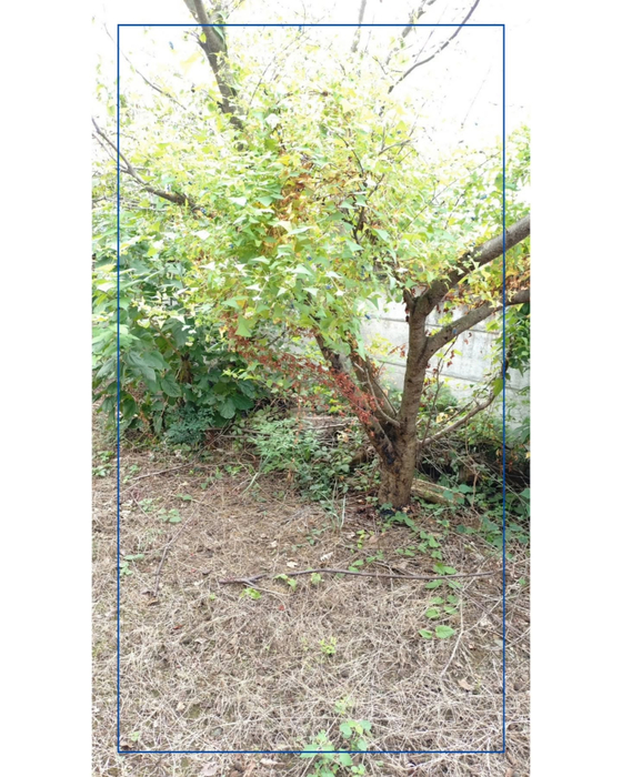 画像1351
