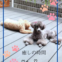 画像1362