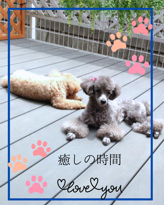 画像1362