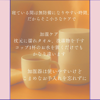 画像1386