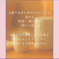 画像1388