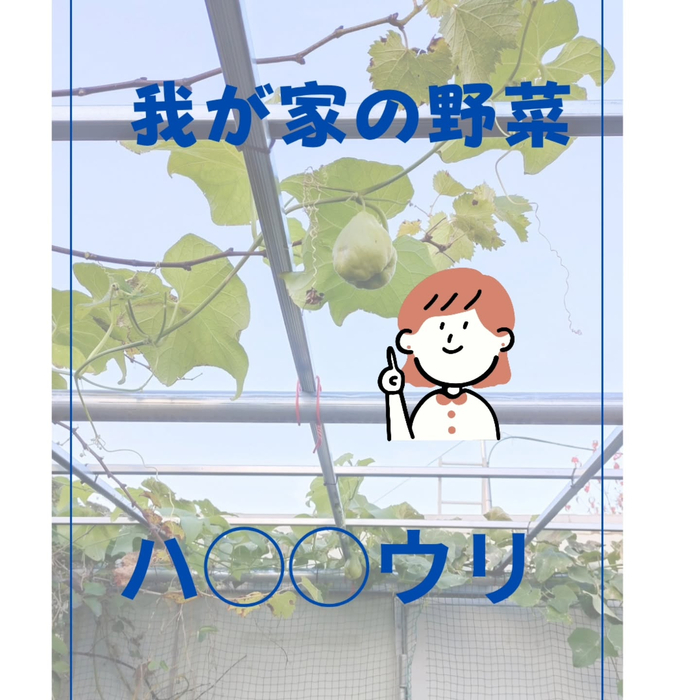 画像1468