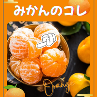 画像1527