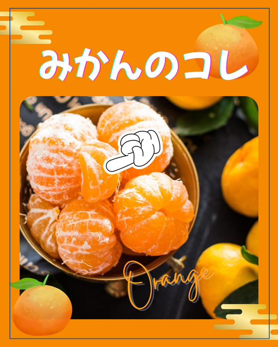 画像1527
