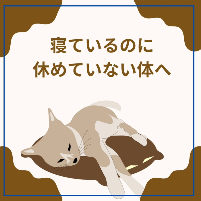 画像1545