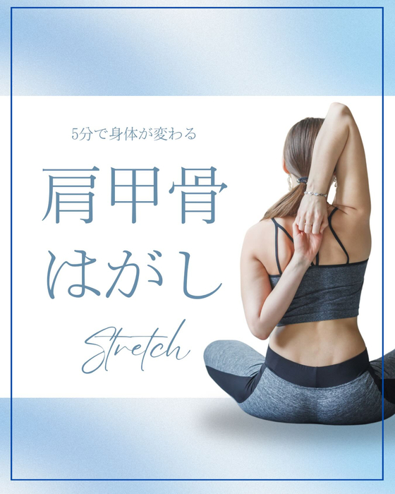 画像1680