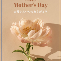 画像1711