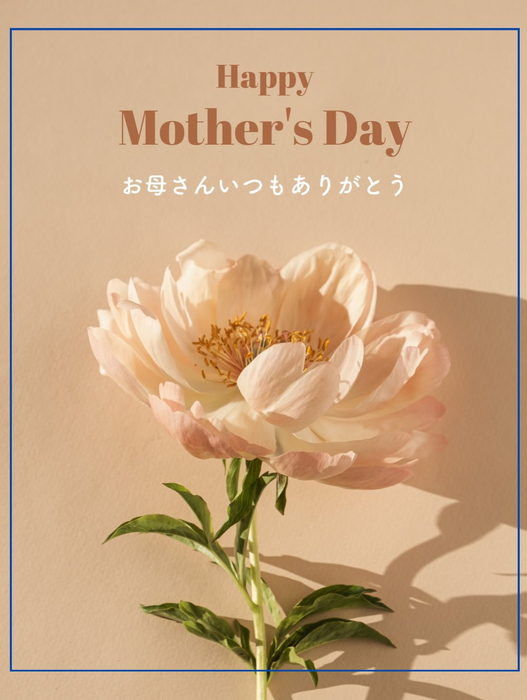 画像1711