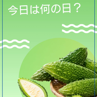 画像1719