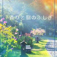 画像1846