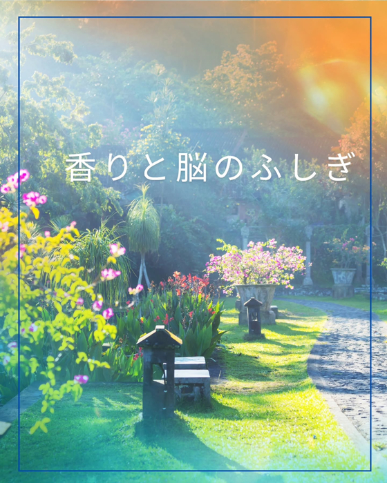 画像1846