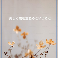 画像1848