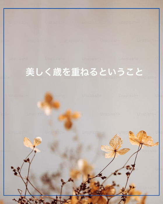 画像1848