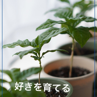 画像1856