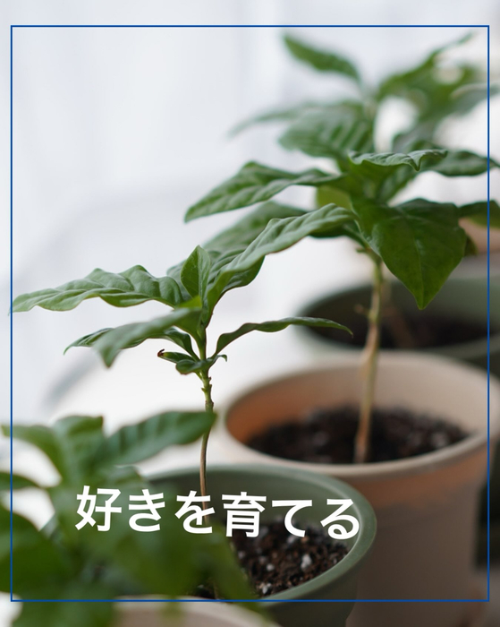 画像1856