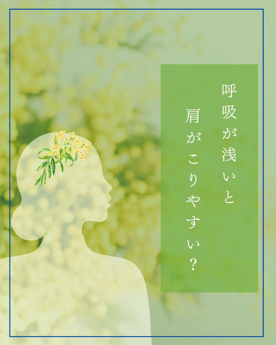 画像1860
