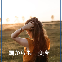 画像1862