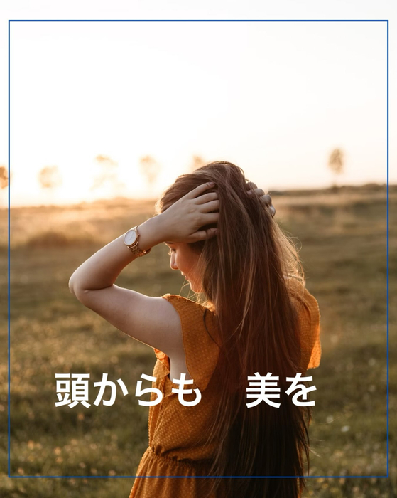 画像1862