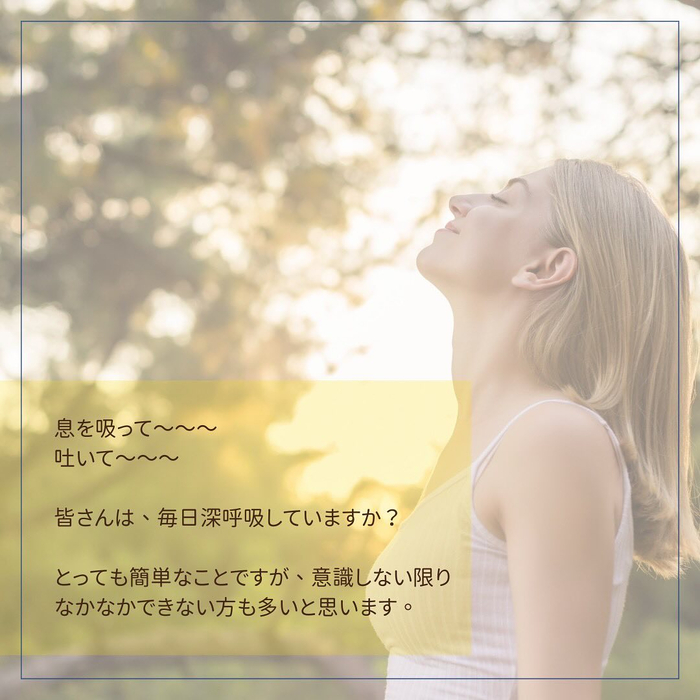 画像319