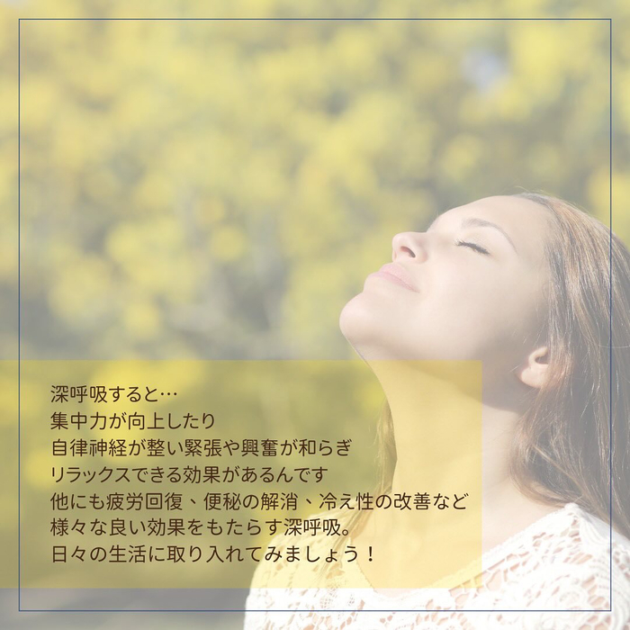 画像321