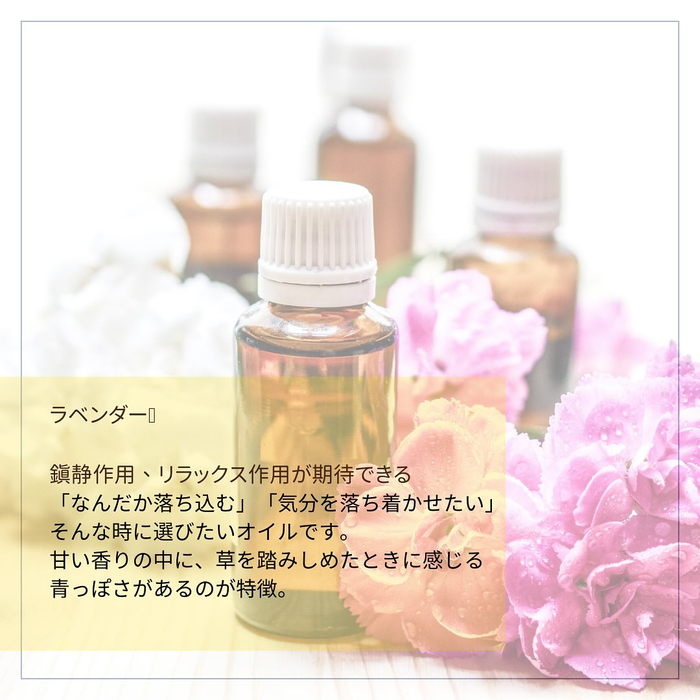 画像371