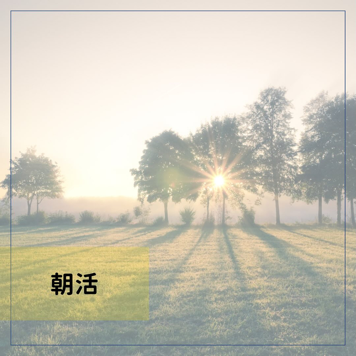 画像377