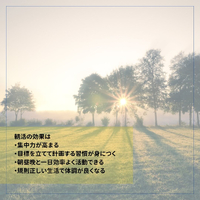 画像381
