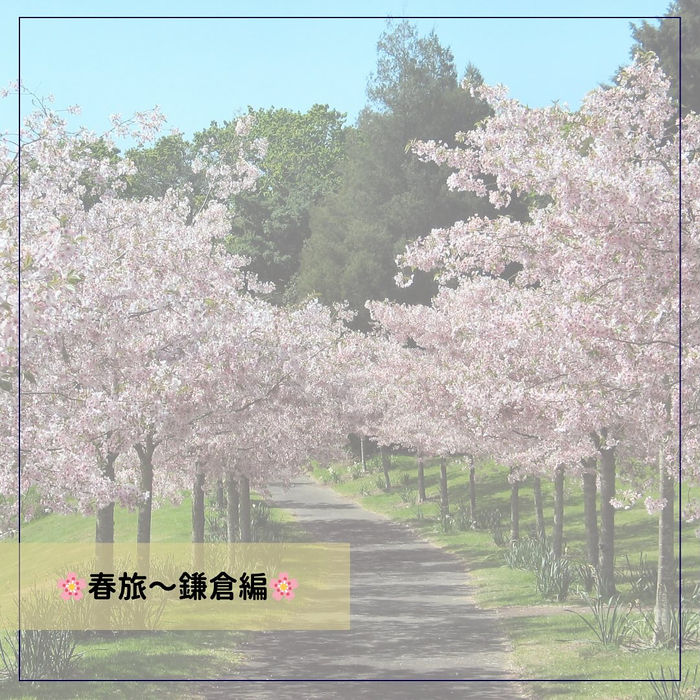 画像393