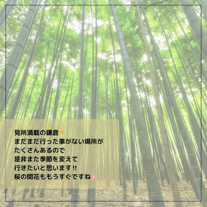 画像401