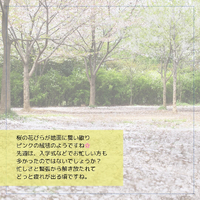 画像432