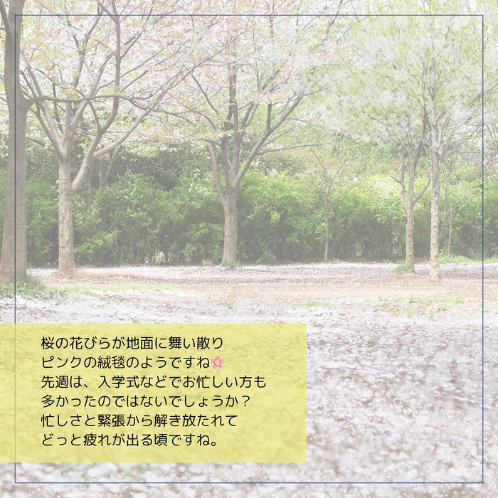 画像432