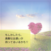 画像441