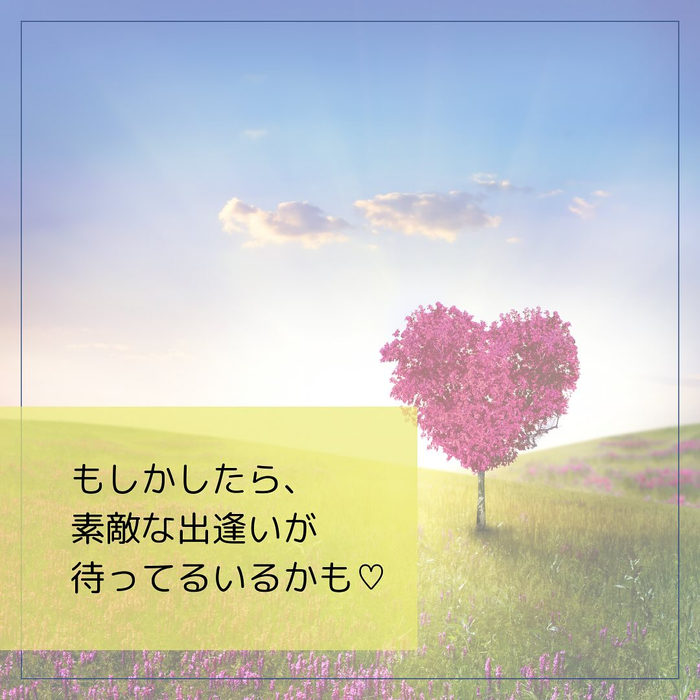 画像441