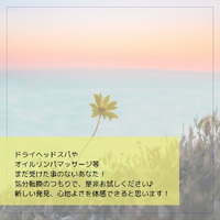 画像442
