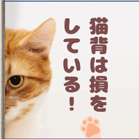 画像488