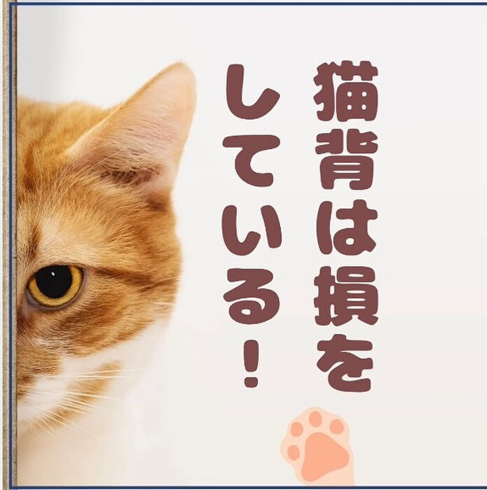 画像488