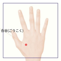 画像513