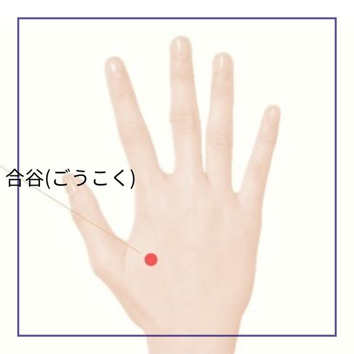 画像513