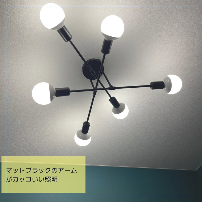 画像519